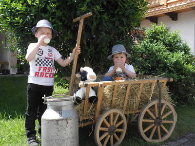 Bild 34 aus  Schauerhof