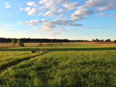 Bild 12 aus  Ferienhaus  Mecklenburg