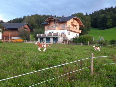 Bild 6 aus  Obergrünwaldgut