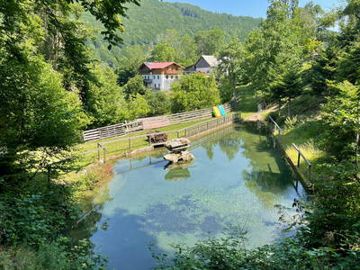 Bild 4 aus  Büchlhof – Zeit.zum.Leben