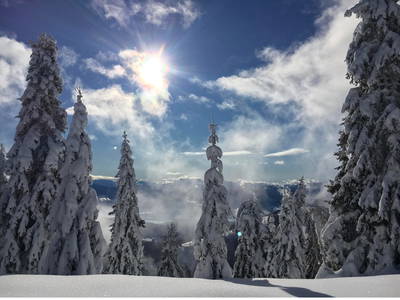 Bild 32 aus Chalet Almhaus Strobl