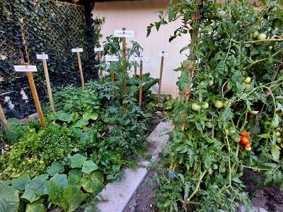 Bild 76 aus  Ferienhaus Weinviertel