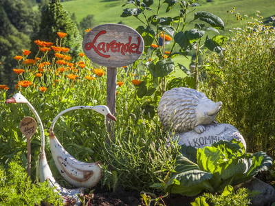 Bild 61 aus  Ederbauer