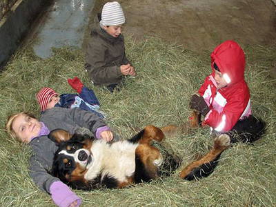 Bild 63 aus  Forellenhof