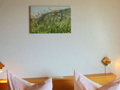 Bild 42 aus  Haus Adlerhorst