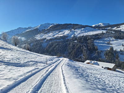 Bild 41 aus  Prädastenalm