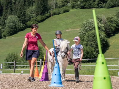 Bild 180 aus  Bio Bauernhof Tobhartbauer