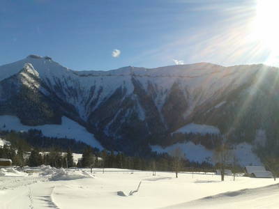 Bild 62 aus  Reitlhof am Sonnenhang   Bio-Bergbauernhof bei Salzburg 
