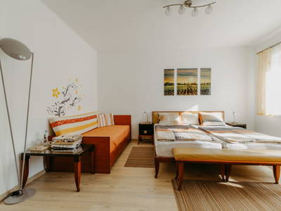Bild 22 aus  Ferienhaus "Zur Weinlaube"