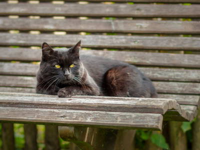 Bild 21 aus  Ferienhof Herz im Oberallgäu