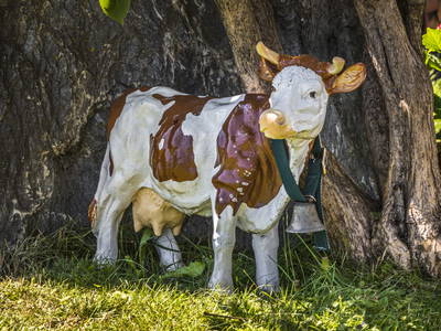 Bild 46 aus  Weidinghof