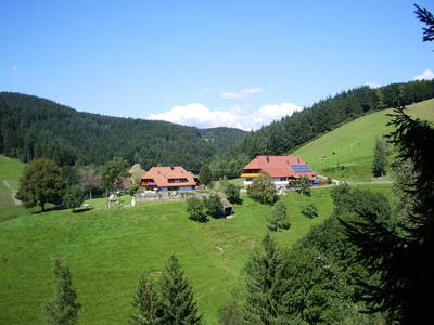 Bild 11 aus  Fussbauernhof