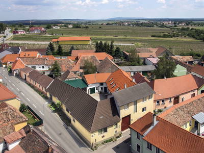 Bild 2 aus  Weingut Seher