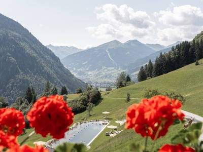 Bild 99 aus  Das Grabnergut