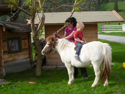 Bild 53 aus  Ferienbauernhof Arnoldgut