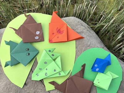 Bild 164 aus  Naturhof Innauer