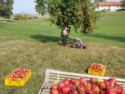 Bild 22 aus Ferienhof Turmkeller