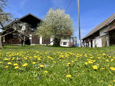 Bild 68 aus  Beim Leben