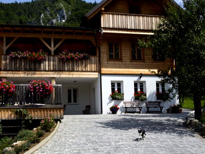 Bild 135 aus Arlitscherhof