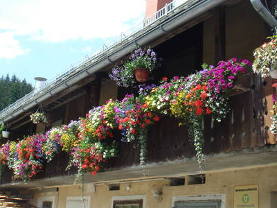 Bild 47 aus  Michlbauer