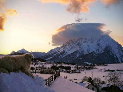 Bild 35 aus  Hüttstädterhof