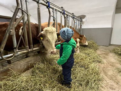 Bild 84 aus  Spöttlinghof