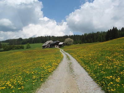 Bild 12 aus  Ferienhaus Prosi