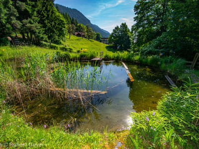 Bild 16 aus  Haus am Kolm