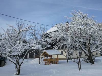 Bild 21 aus  Biobauernhof Hansmann vlg. Kulb