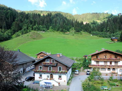 Bild 41 aus  Ployergut