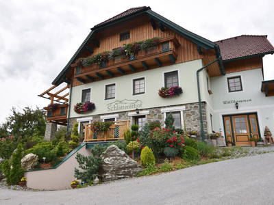 Bild 2 aus  Schlatterer