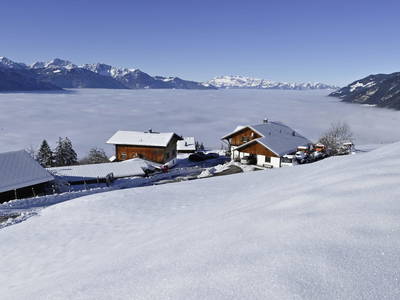 Bild 32 aus  Berghof