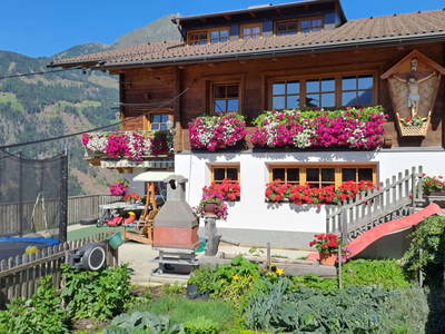 Bild 26 aus  Bauernhof Wachtlerhof