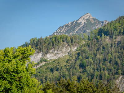 Bild 3 aus  Arnestgut