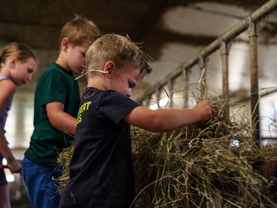 Bild 112 aus  Sinnhubgut