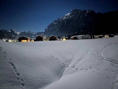 Bild 53 aus  Bauernhof Bertsch