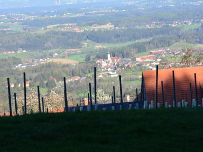 Bild 21 aus  Weingut Seiner vlg.Kraxner