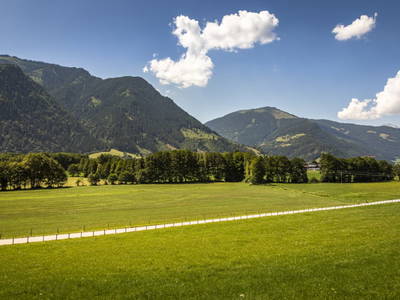 Bild 16 aus  Windischlehen