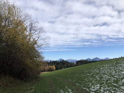 Bild 48 aus Testhof Salzburg