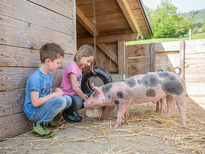 Bild 68 aus  Ferienhof Pfaffenlehen