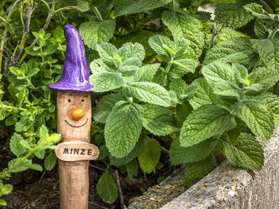 Bild 88 aus  Pointbauer