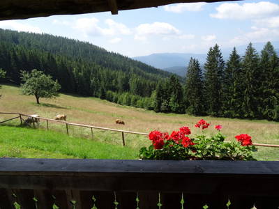 Bild 66 aus Pettacher Hütte
