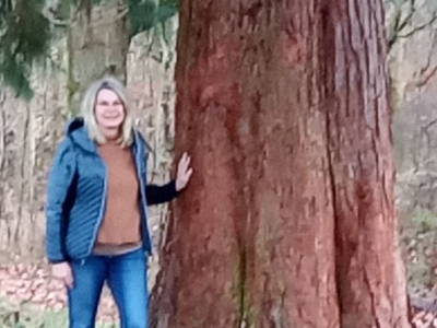 Bild 98 aus  Stroneggerhof