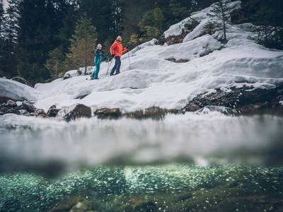 Bild 182 aus  Rimmlhof & Rimmlstube