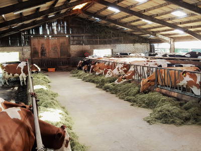 Bild 11 aus  Ferienhof-Marx