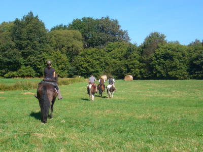 Bild 14 aus  Mühlberghof