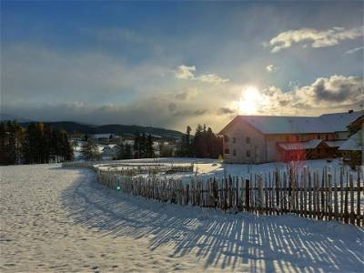 Bild 66 aus Pircherhof - Adults Only am Biobauernhof