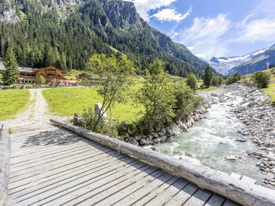 Bild 138 aus  Enzianhütte im Habachtal