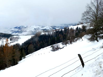 Bild 44 aus Berghütte Reissnerhof