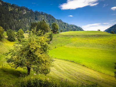 Bild 130 aus  Pesbichl